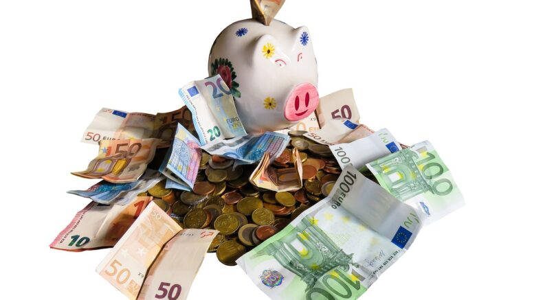 finance, money, save up, cash, capital market, currency, business, piggy bank, euro, vacations, cashbox, wishes, success, successful, profit, financial world, shopping, isolated, financing, piggy bank, piggy bank, piggy bank, piggy bank, piggy bank