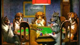 c m coolidge, dogs, canines